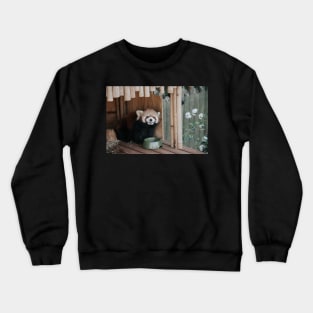 Red Panda Crewneck Sweatshirt